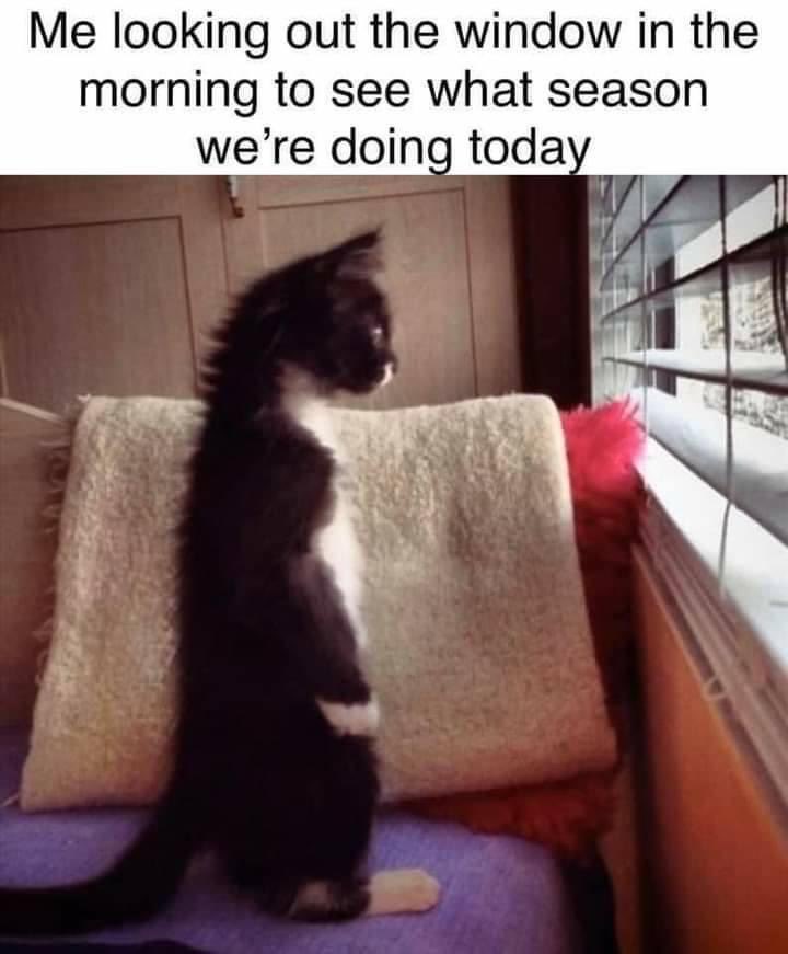 Craig (@craigelbe) on Twitter photo 