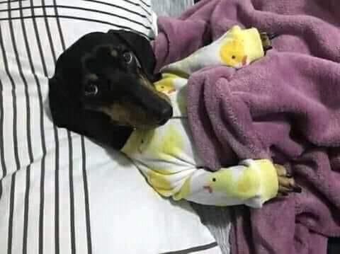 "es viernes y el cuerpo lo sabe"

mi cuerpo: