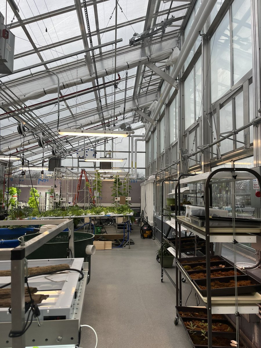 KristenMConklin's tweet image. Enjoying the day with students in our #hydroponics lab! @NYsunworks 

#explorermindset