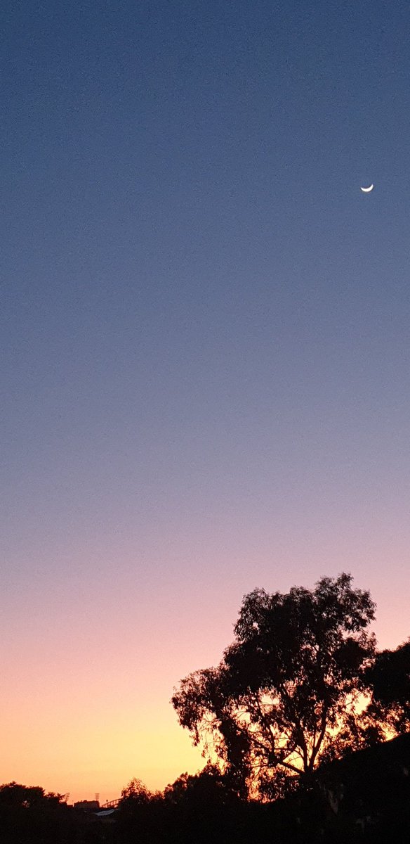 CherScheff's tweet photo. Waning Crescent Moon at sunrise time fading in the glare of the sun.
#HappySafeWeekend
#Saturday
#Sydneyskies https://t.co/DZplN2mva2