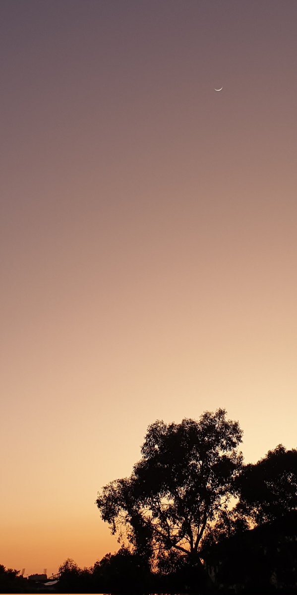 CherScheff's tweet photo. Waning Crescent Moon at sunrise time fading in the glare of the sun.
#HappySafeWeekend
#Saturday
#Sydneyskies https://t.co/DZplN2mva2