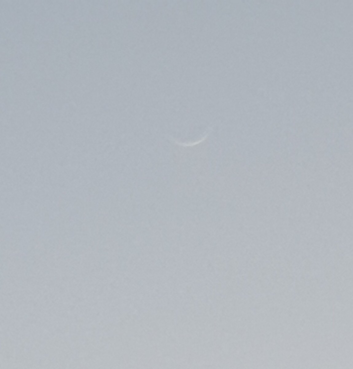 CherScheff's tweet photo. Waning Crescent Moon at sunrise time fading in the glare of the sun.
#HappySafeWeekend
#Saturday
#Sydneyskies https://t.co/DZplN2mva2