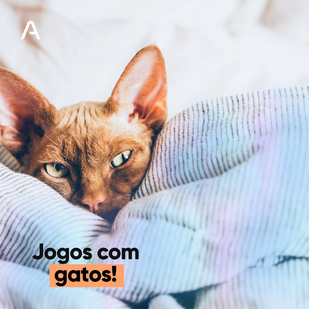 Avell_Notebooks's tweet photo. Gosta de games e gatos? 😺🎮
Separamos 5 jogos nos quais os nossos queridos felinos são protagonistas!
Conteúdo completo: https://t.co/TLlawIj7N9
#avell #jogoscomgatos https://t.co/yNGhXapYkU