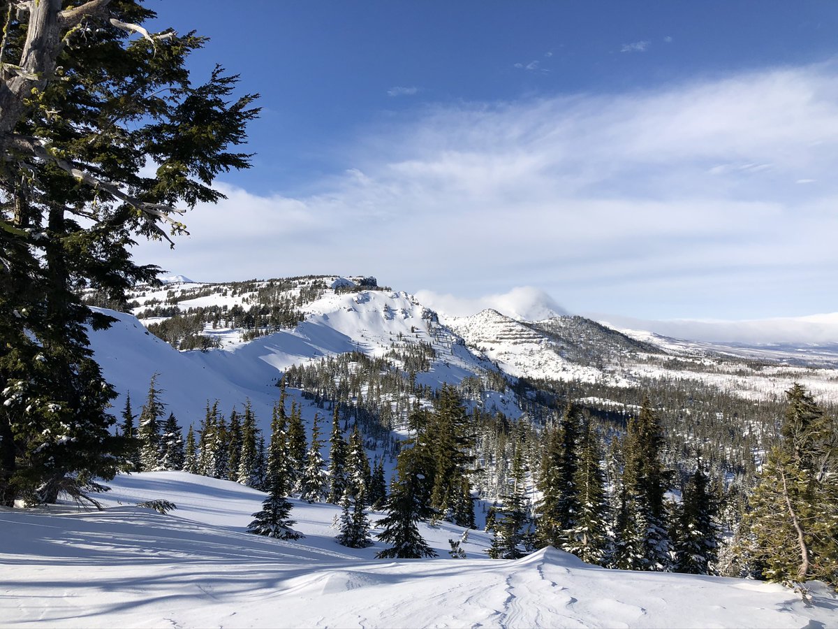 A sunny day looking out at snow-covered ridgelines and buttes interspersed with trees.