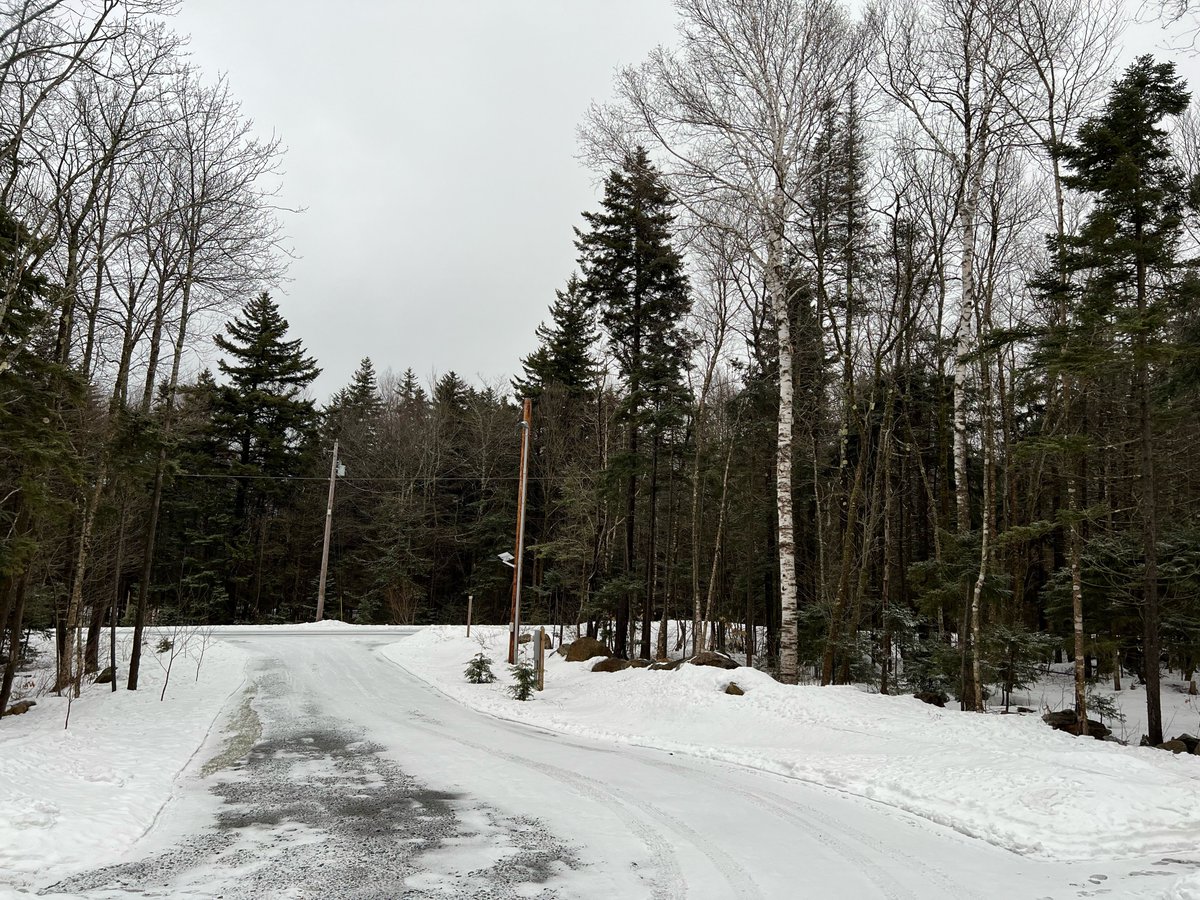 Mitch on Twitter "My coastal Connecticut style winter continues at 2,230' elevation in Vermont