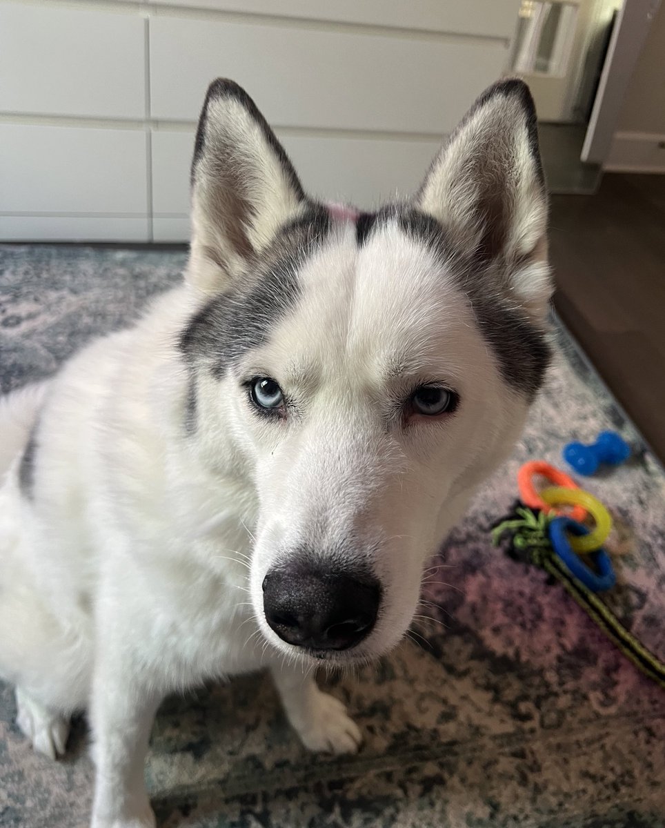 Clara 🦋 tweet media