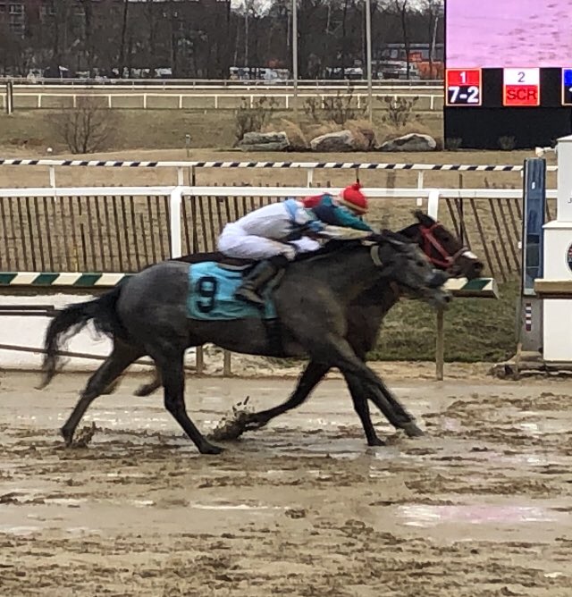 Maryland Horsemen tweet media
