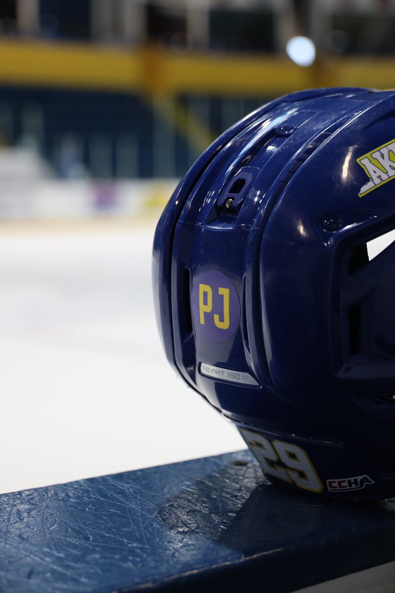 Lake State Hockey tweet media