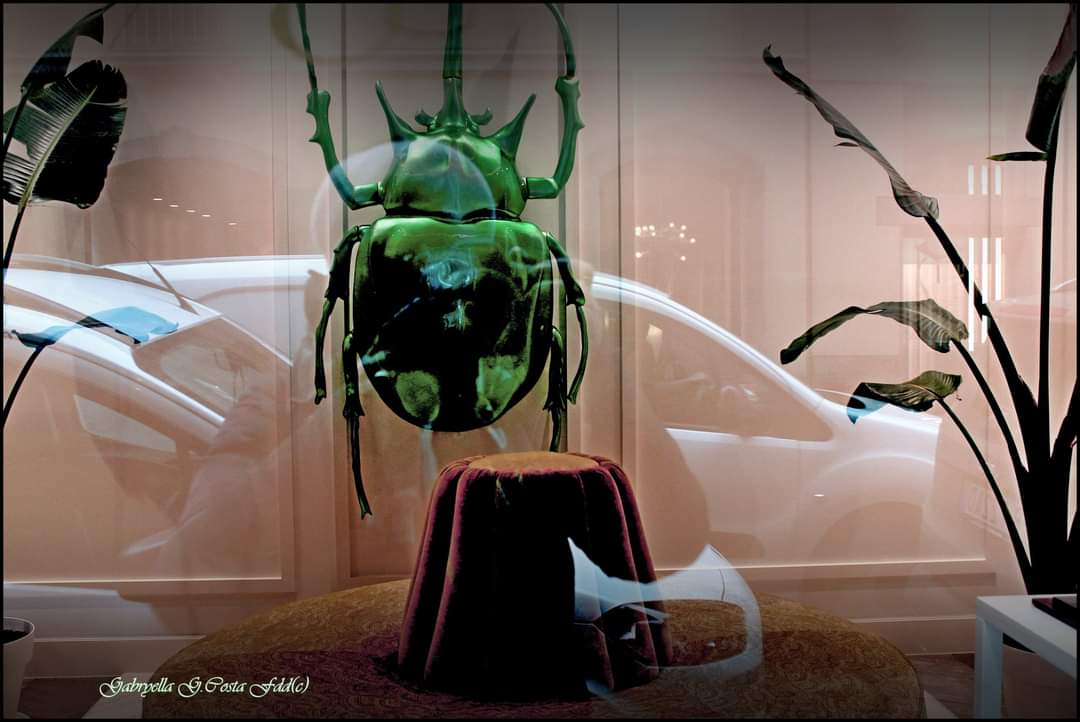 GabryBab10's tweet image. Ho trovato questo (lo scarabeo portafortuna) 
Installazione #brera #milanomoda

Non è quello che dicevo prima... 
Cerco ancora sulla cartella "moda" Magari è finita lì x sbaglio