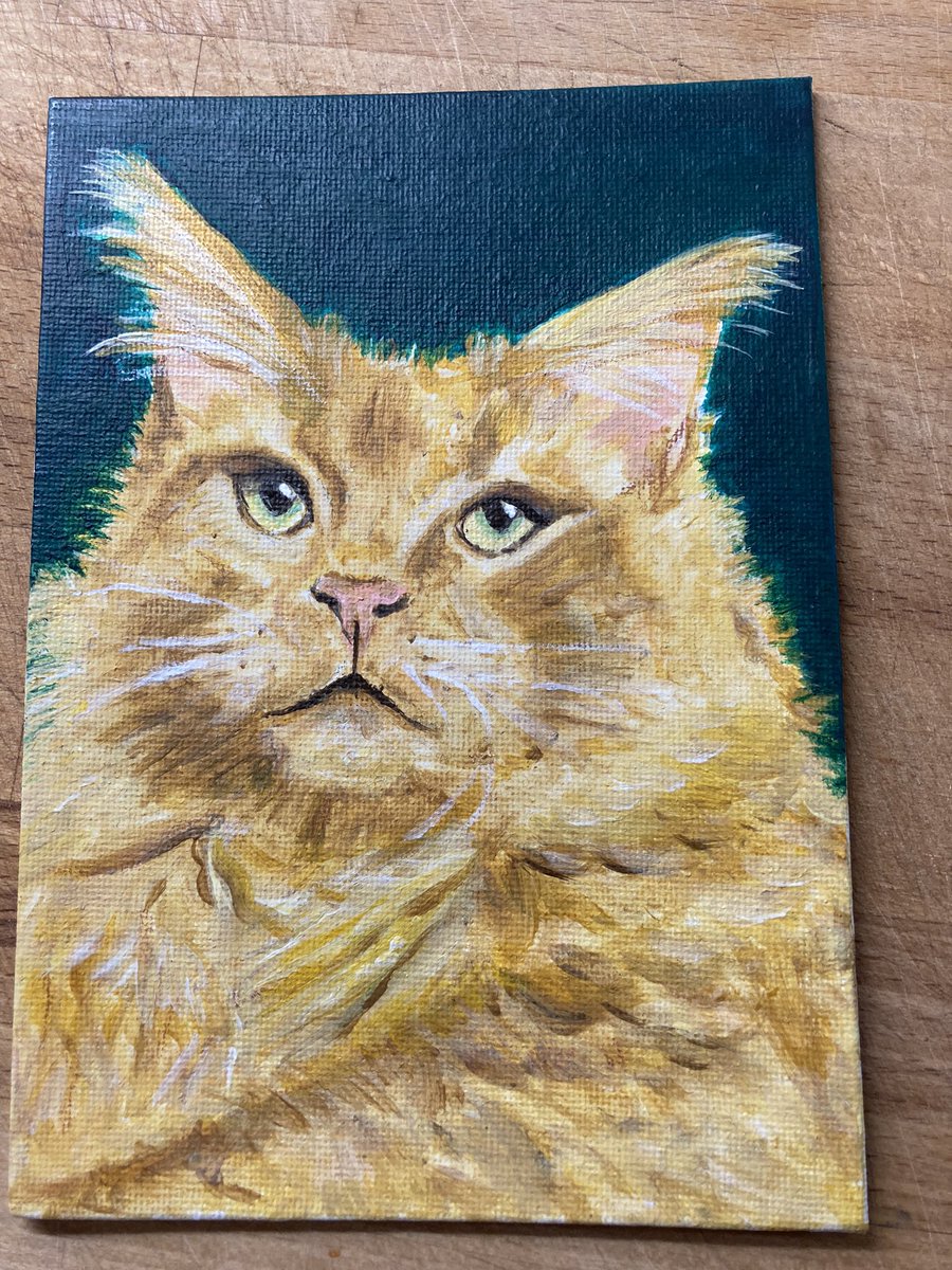 BobTheCat tweet media