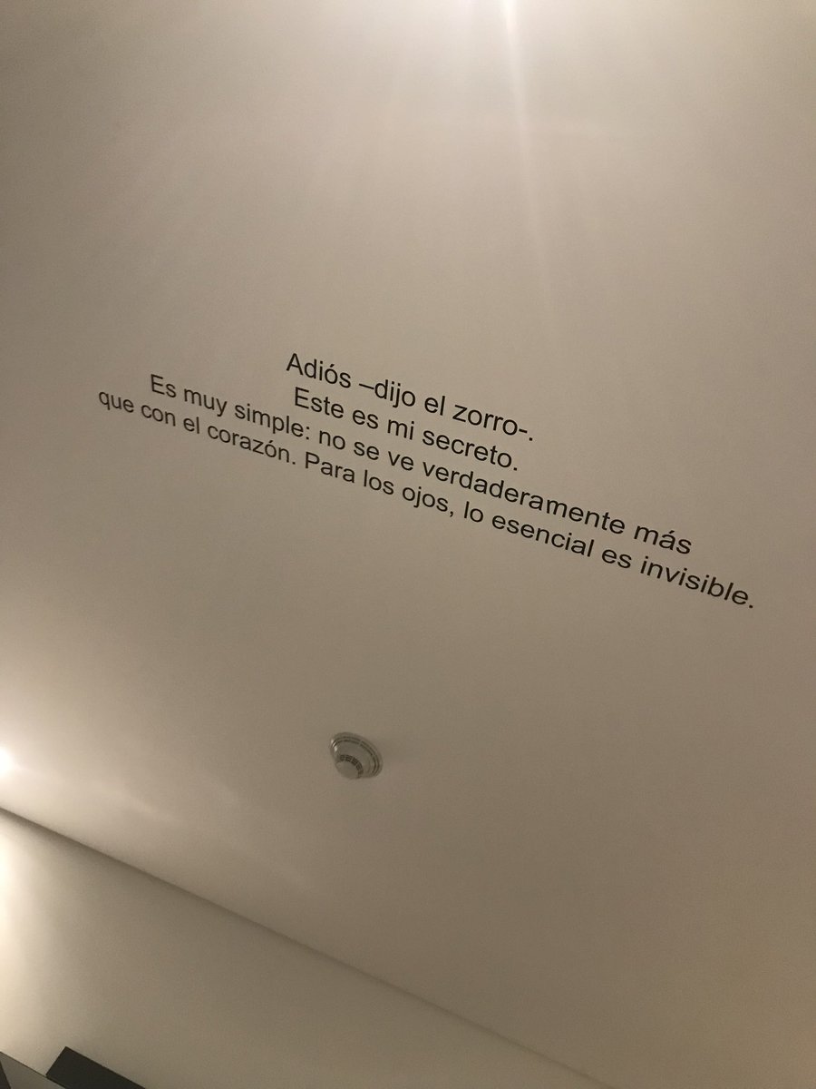 MoniParadaLL's tweet photo. Techos que hablan. Cuando los libros se atraviesan por ahí. https://t.co/tSpNJkq2VZ