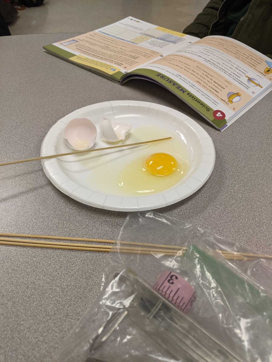 TitansinFirst's tweet photo. @scoadie and I learned so much this afternoon at the ChickQuest workshop! I cannot wait to bring these experiments and this project into my classroom this spring! 🐣 https://t.co/RK6kiRnVLU