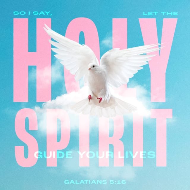 memesfromGod's tweet photo. So I say, walk by the Spirit, and you will not gratify the desires of the flesh. (Galatians 5:16 NIV) https://t.co/7KguHwVJMd https://t.co/y3yRJboSOo