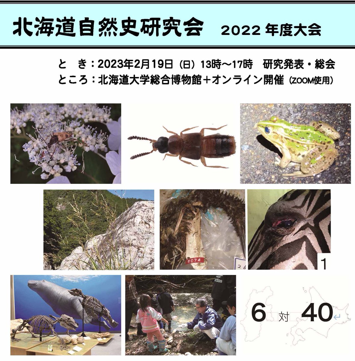 2023年2月19日の研究大会、明日13時からとなります。
発表は1本追加になっています。
・北海道におけるデスモスチルス復元研究の動向

北海道内の自然史研究会研究について、合計9本の発表があります。