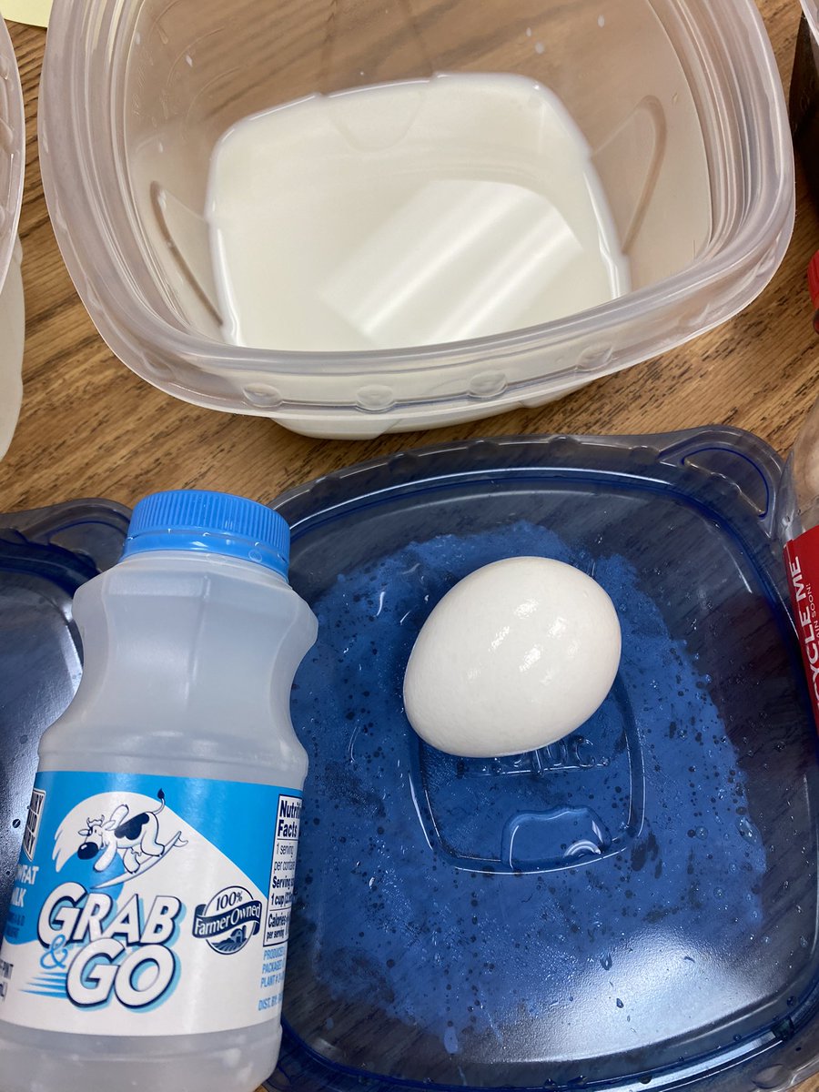 Eggshells and teeth are similar. So we used eggs to see what happens to our teeth when we drink different things. We decided water is the healthiest drink for our teeth and our bodies. @PotowmackES #1stGradeScientists #EaglesDeserveIt23 #DentalHealthWeek