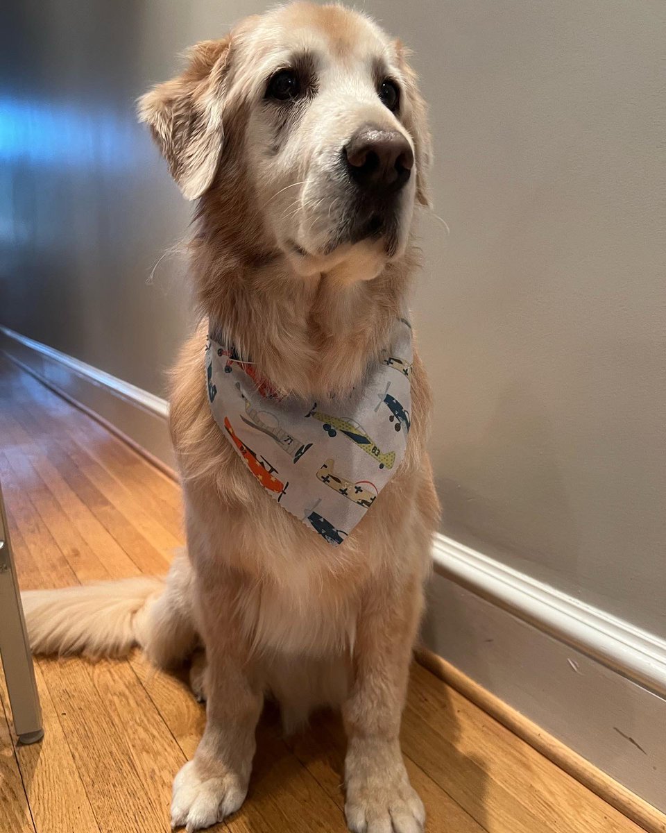 Kristen Soltis Anderson tweet media