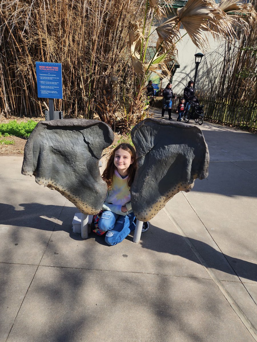 cmcdonald20161's tweet photo. @houstonZoo https://t.co/wjA70BbBS1