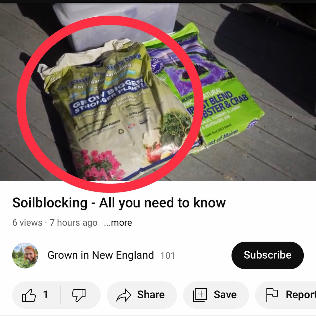 PittMoss's tweet photo. Did you know that you can use PittMoss for soil blocks? Grown In New England has made a great video using PittMoss in her soil block mix. Check it out here: https://t.co/hvpjB3djq6
#soilblocking #soilblocks #peatfree #pittmoss #pittmossplentiful #gardening #seedstarting https://t.co/5yt4qLtKd6