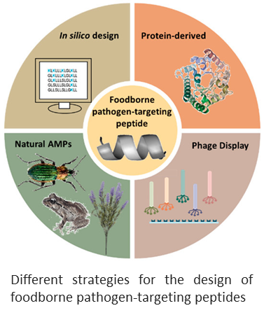 ISA_UMR5280's tweet photo. ๐ข๐งWhatโs new this week?
From #biosensors developed using peptides as #bioreceptors to electronic noses, for the detection of foodborne pathogens: a review
@IRIG_Grenoble @liphy_lab @INRAE_MICALIS
@CNRS_dr07 @UnivLyon1 @FdS_Lyon1
https://t.co/NefYe4wwR6 https://t.co/GN0QeL4yAV