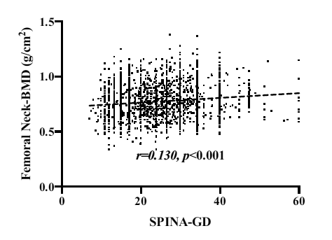 SPINATeam's tweet photo. Total #deiodinase activity (#SPINA_GD) correlates to bone mineral density and predicts the risk for #osteoporosis. https://t.co/nEuzNfBqX4 https://t.co/E6xcMigFjA https://t.co/5vRfXcrVFq
