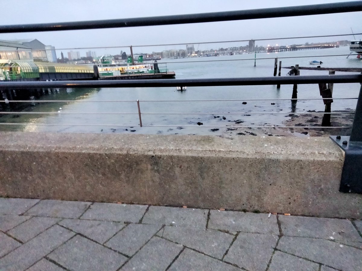 Crossingham Family tweet media