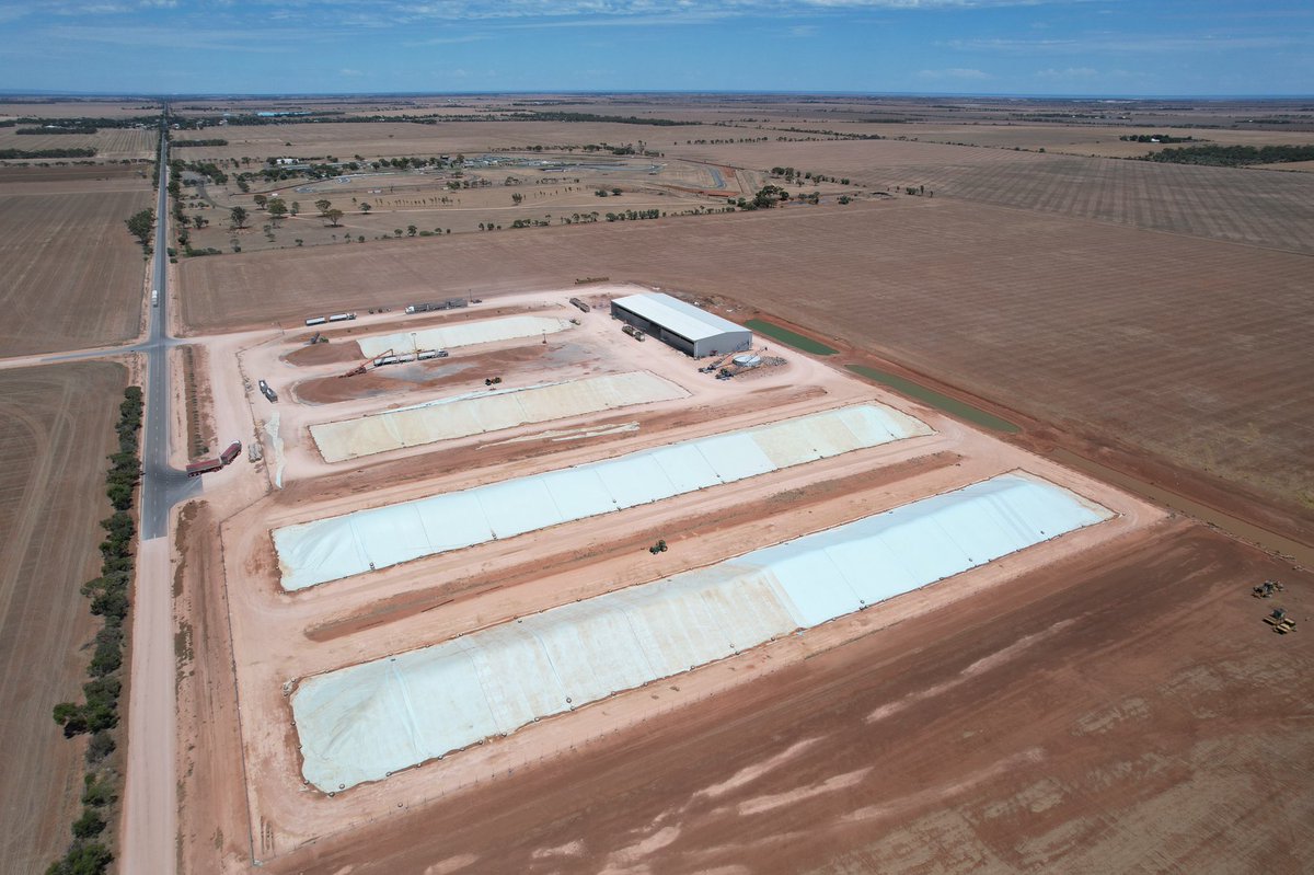 Making some room for old crop lentils this past week at Plains Grain. If have any on farm wanting to move give the Brad(s) a call or DM #lentils