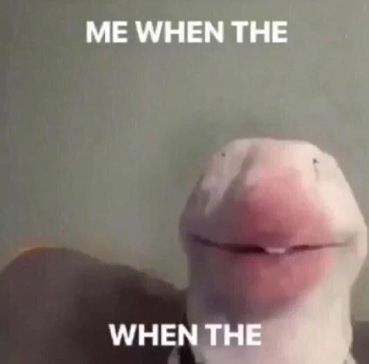 localsenpapi's tweet photo. Me when the https://t.co/gNjXQbH5h1
