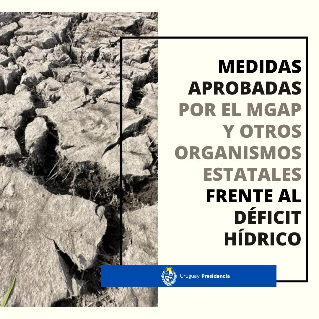 LuisLacallePou's tweet photo. El gobierno nacional ha adoptado una batería de medidas para hacer frente a la sequía que afecta a nuestro país. https://t.co/Q5sjxlC3Kz
