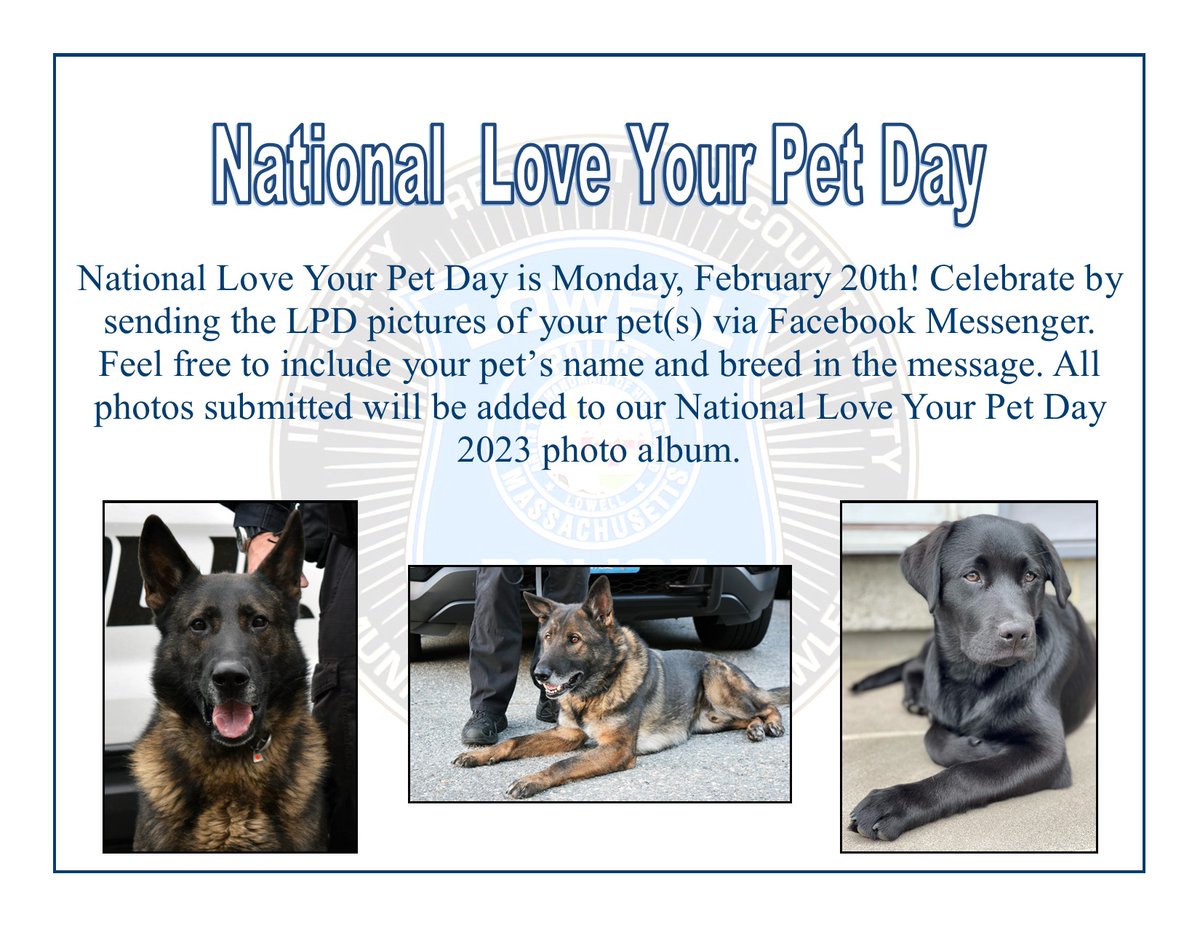 how do you celebrate national love your pet day