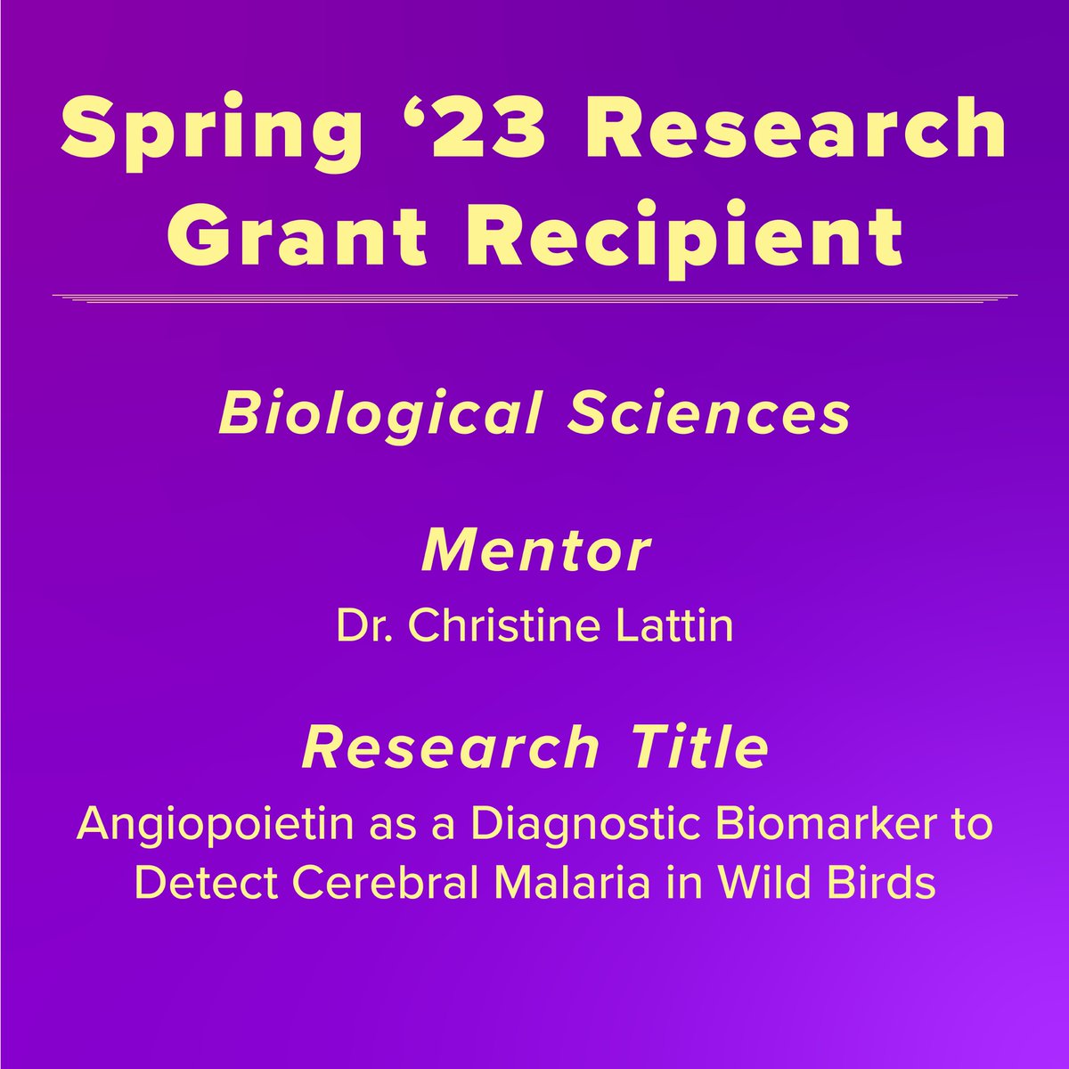 lsu_our's tweet photo. Kenedi I Lynch is one of our Spring '23 Project Grant recipients. Her research is on "Angiopoietin as a Diagnostic Biomarker to Detect Cerebral Malaria in Wild Birds."

For more info go to the https://t.co/wnRYVdfOZq link in our bio and select “Undergraduate Project Grant.”

#lsu https://t.co/Ws32xKoLrN