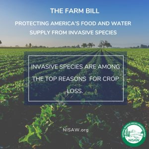 morganapinky's tweet photo. Invasive species cost the U.S. upwards of $120 billion annually. They also threaten our food supply. Many major pests in agriculture are actually invasive species. #NISAW #InvasiveSpecies #SeminoleCountyAg #FirstDetector https://t.co/TlBaCHo1jI