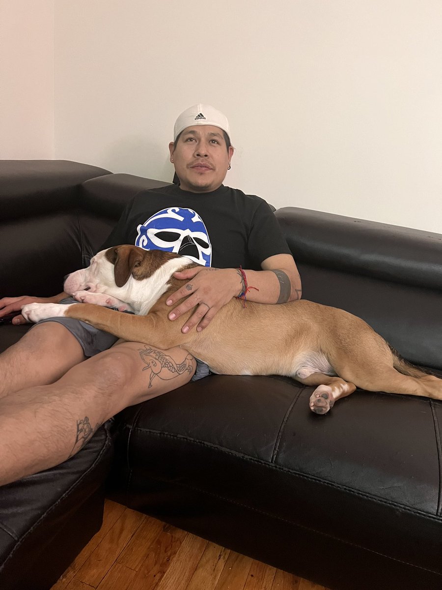 Edgars8315Ed's tweet photo. @encanchadostudn #MALOSO @_cesarprocel #HISTORIADOR @tavo78mex ACLARANDO NO SOY GOLPEA PERROS!! Pero hay de razas a razas!!🤣🤣🤣🤣 https://t.co/vL9Ln881Zg