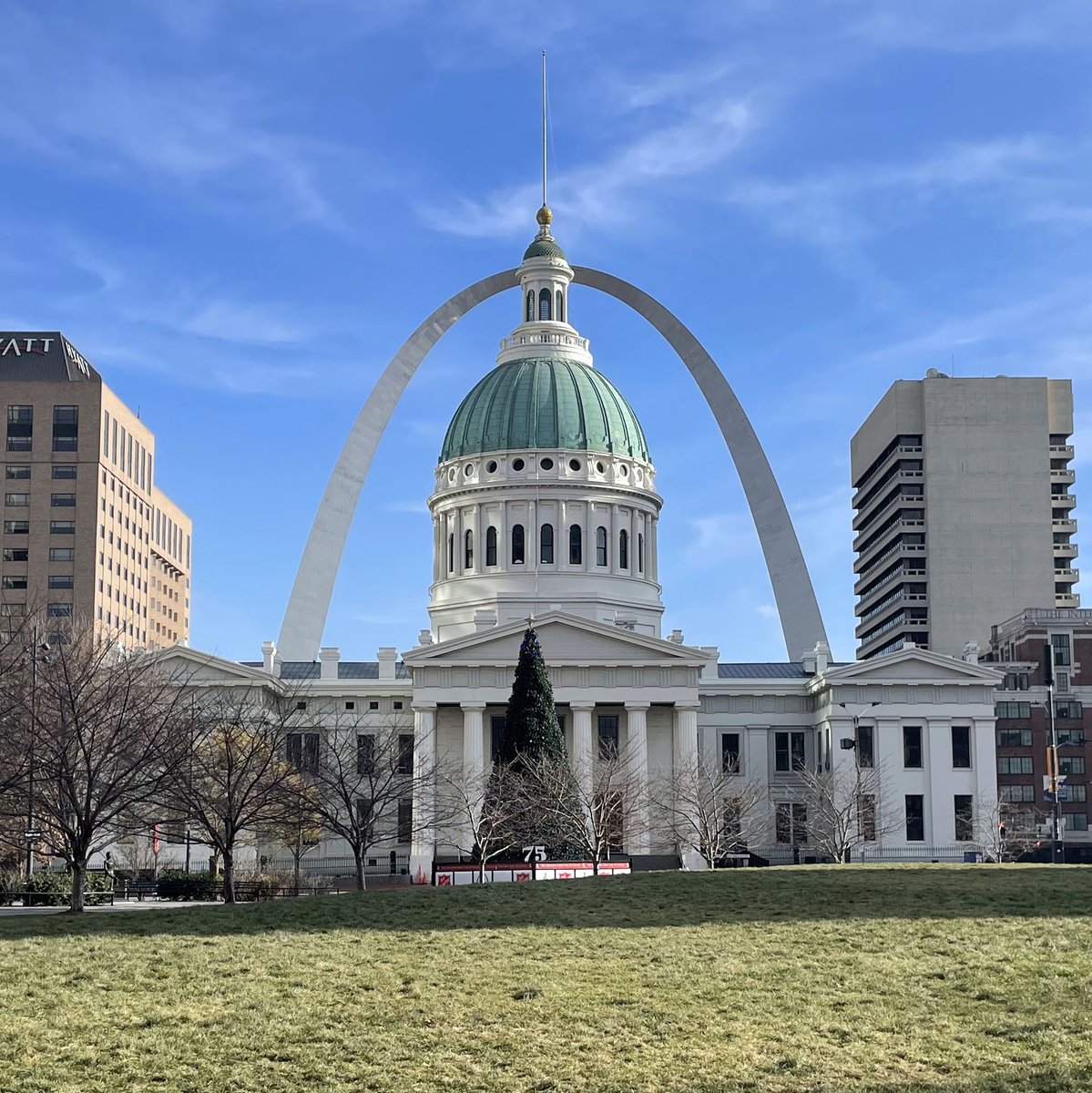 Brain Development and Disorders Lab tweet media