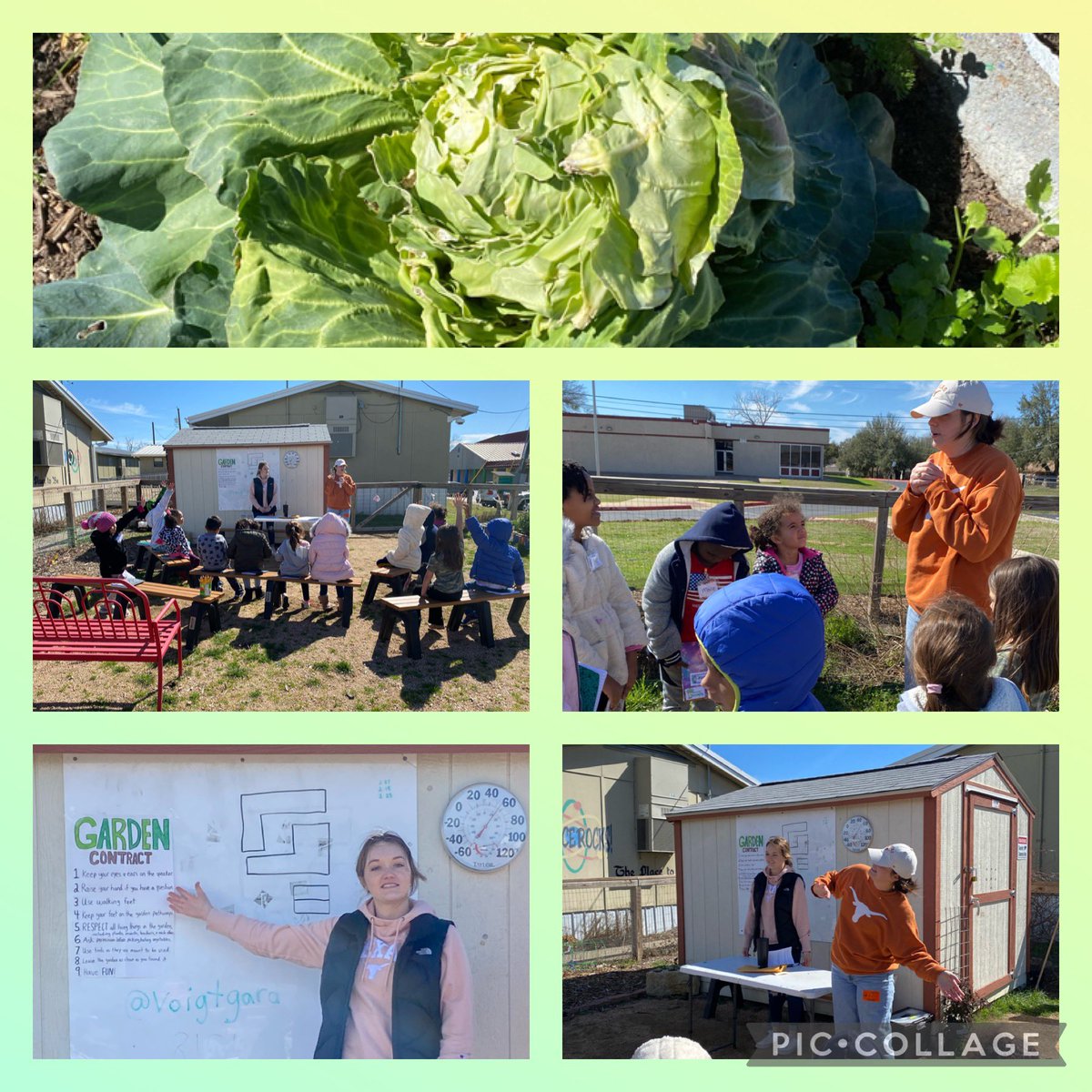 1st grade Scientists learned how to be safe while making observations in the Voigt Garden. My ❤️ was happy! <a href="/VoigtAIA_RRISD/">Voigt AIA</a> <a href="/VoigtGarden/">Archived: Voigt Community Garden (RRISD, TX)</a>