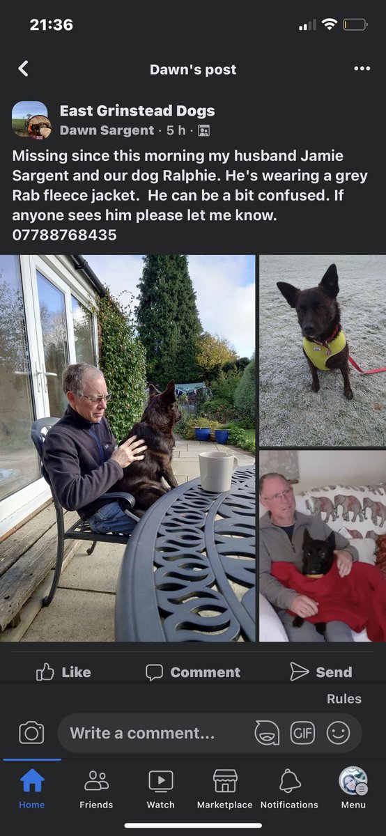 sparkly_mummy's tweet image. @AboutEG missing gentleman and a pic of his dog who is with him