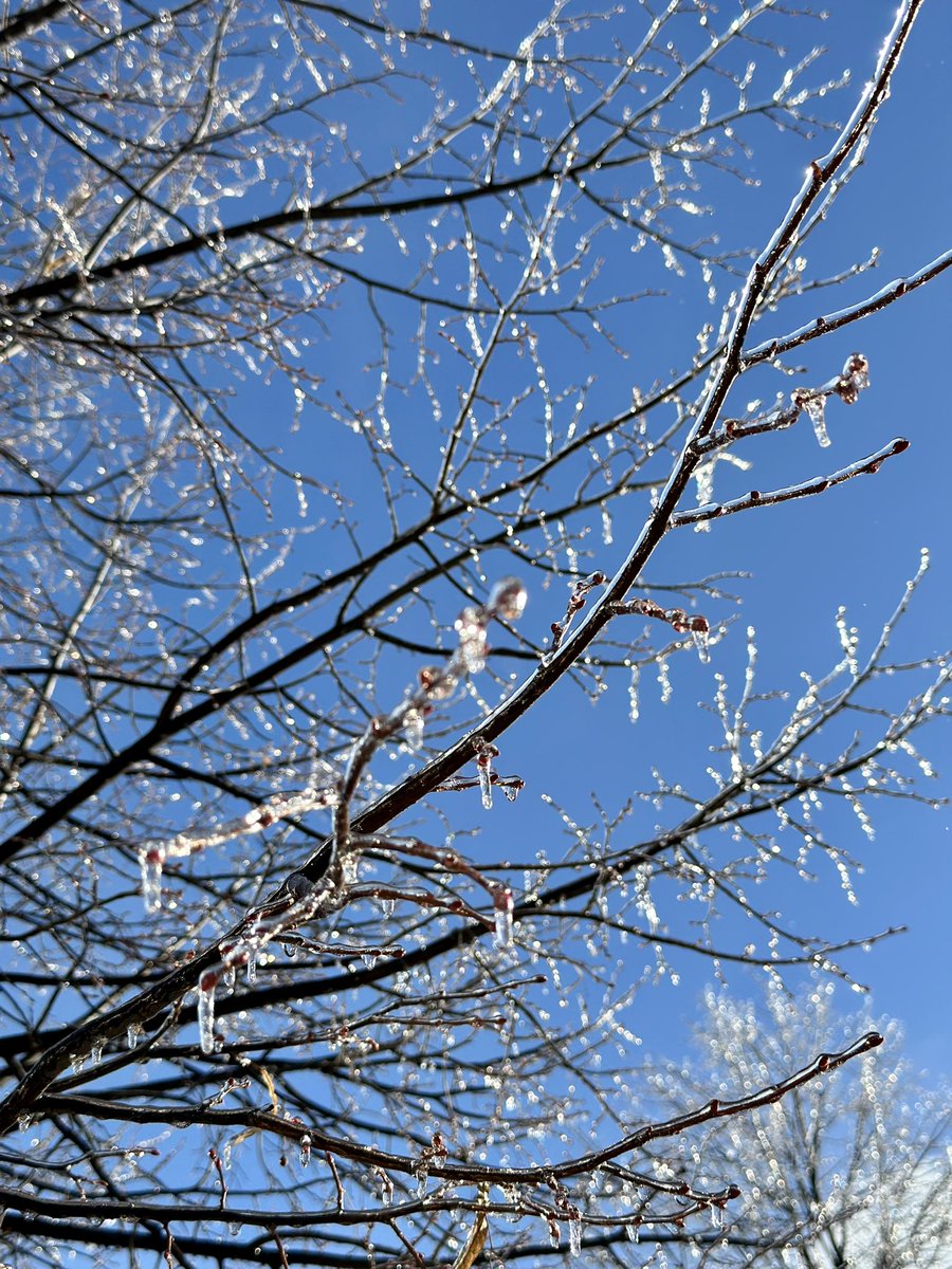 Kan Gao On Twitter Freezing Rain Last Night 