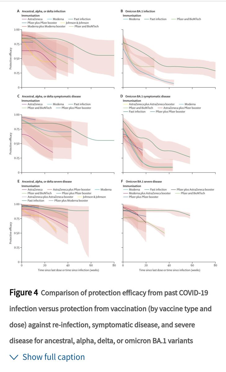 Regardez bien la courbe verte foncée par rapport aux autres . 

Une infection passée protège plus et plus longtemps pour tous les variants. 

@FrcsBraun @olivierveran @MartinBlachier @philippejuvin @BernardJomier @ansm

#ReintegrezLesPersonnelsSuspendus 
#500JoursDeSuspension +20