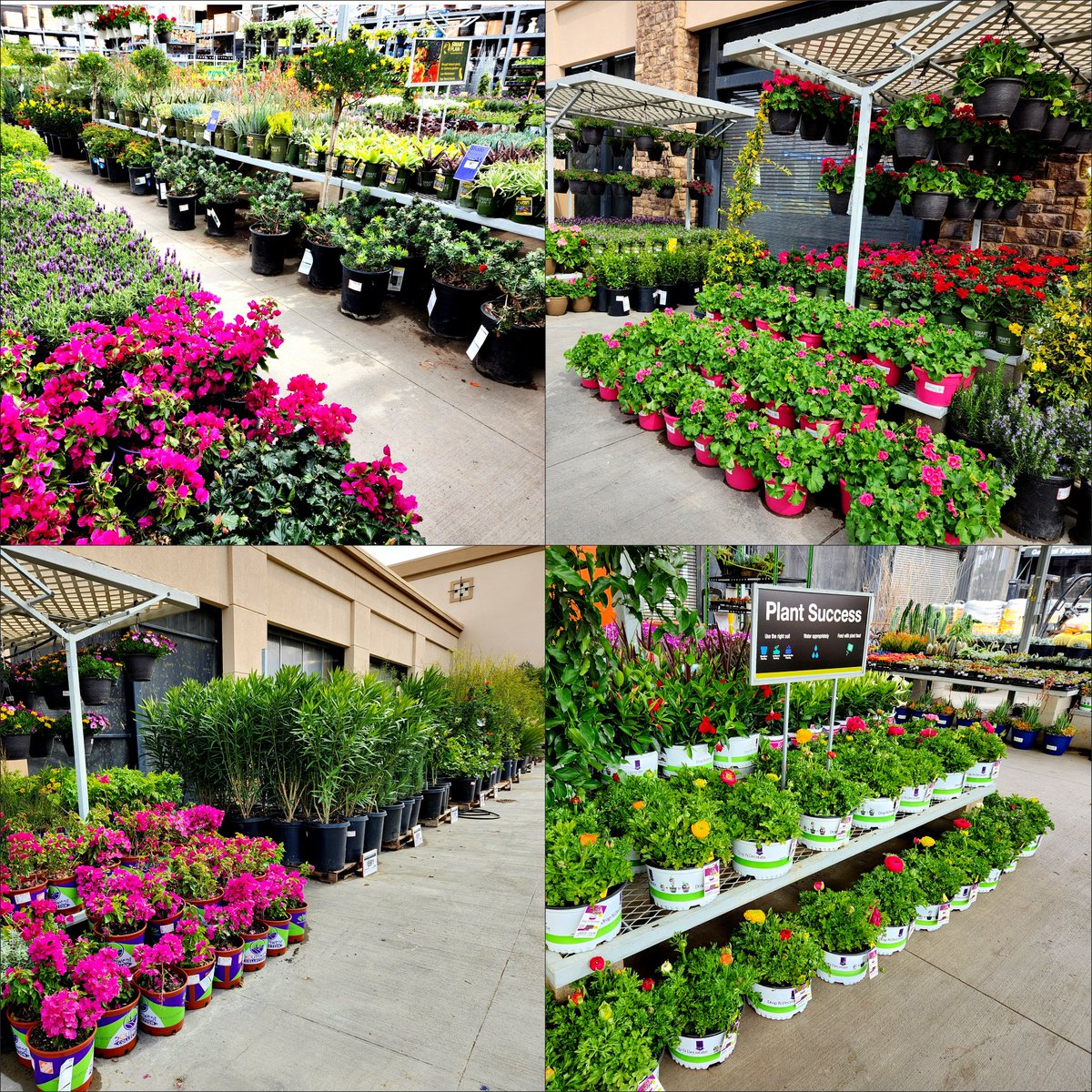 Natalie Lubinsky tweet media