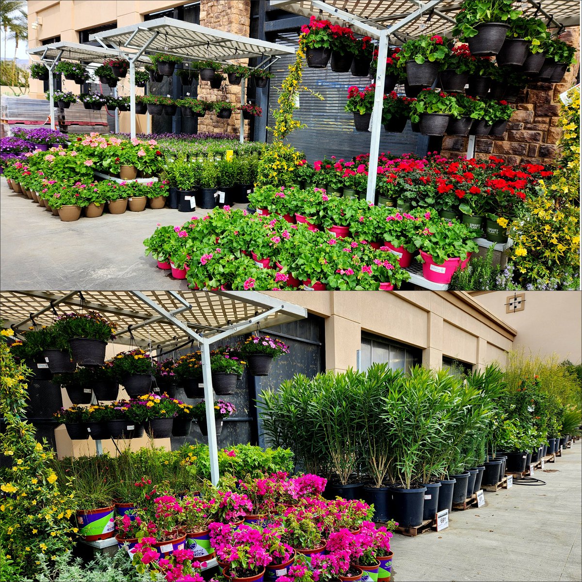 Natalie Lubinsky tweet media