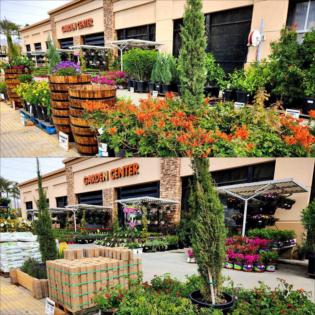 Gardens looking 👌 shout-out to our vendors for their support and the garden crew for their daily dedication. #pacsouth #6874