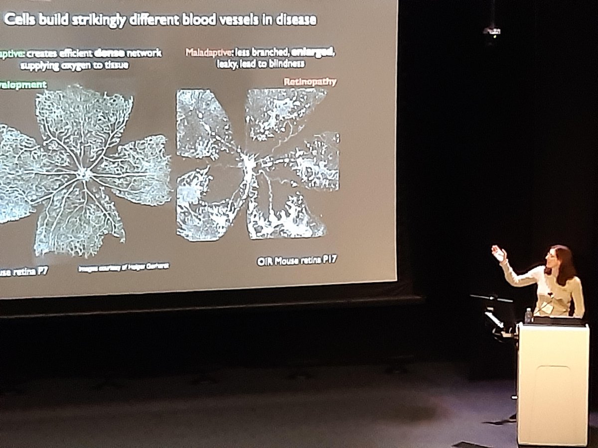 Près de 300 participants étaient réunis hier et aujourd’hui à l’occasion du 37e Congrès des étudiants des cycles supérieurs et des postdoctorants en recherche au CHU Sainte-Justine. Un événement riche en discussions avec comme conférencière invitée, Katie Bentley du <a href="/TheCrick/">The Francis Crick Institute</a>.
