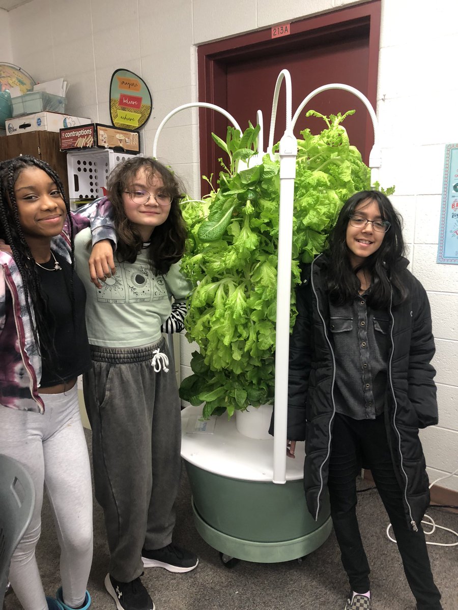 Becky Hyatt (@mrshyatt5h) on Twitter photo Our Tower Garden is flourishing! Time for another salad party soon 🎉 <a href="/mustangpride204/">McCarty Elementary</a> Our Tower Garden is flourishing! Time for another salad party soon 🎉 <a href="/mustangpride204/">McCarty Elementary</a>