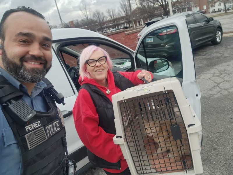prckcmo's tweet photo. Help us give a huge shoutout to @kcpolice Officer Perez and Ramona for rescuing this injured cat off I-435! We transported it to @kcpetproject where it is being treated and will either be reunited with or find its forever family. 

Great work!!! https://t.co/3MzQF776d5
