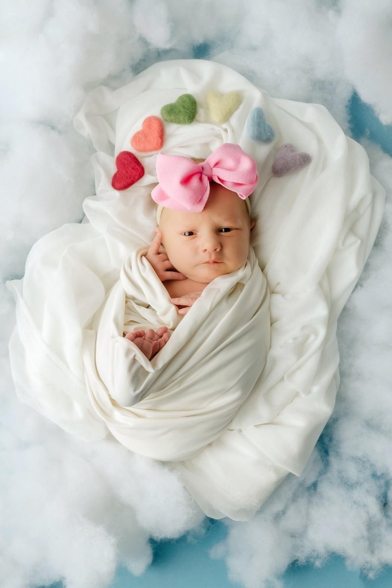 erinnikolle's tweet photo. It’s been 4 months since the last time I tweeted so here’s our newest addition to the family 💜 https://t.co/s3wkWFZxQh