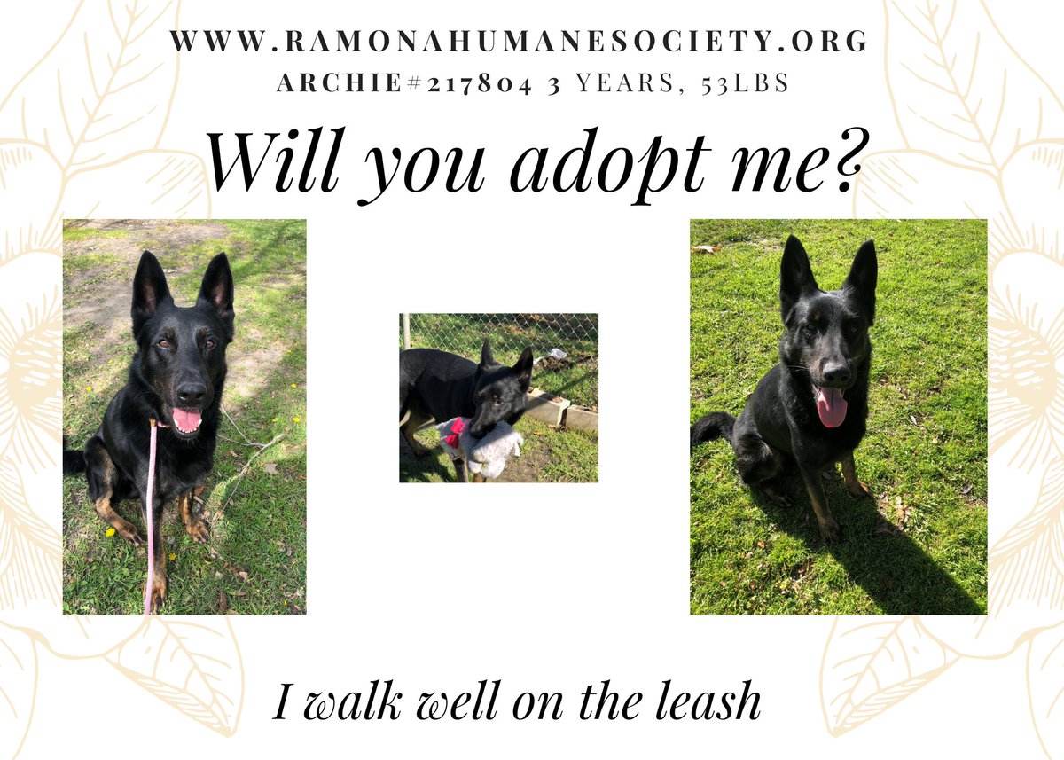 Ramona Humane Society-Official (@humaneramona) on Twitter photo 