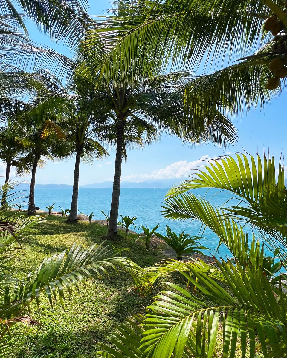 Вьетнам 🇻🇳 30я страна на моей карте путешествий 🫶🌴