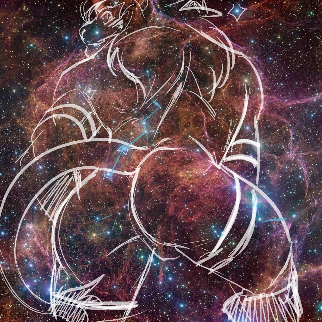 Shin's constellation