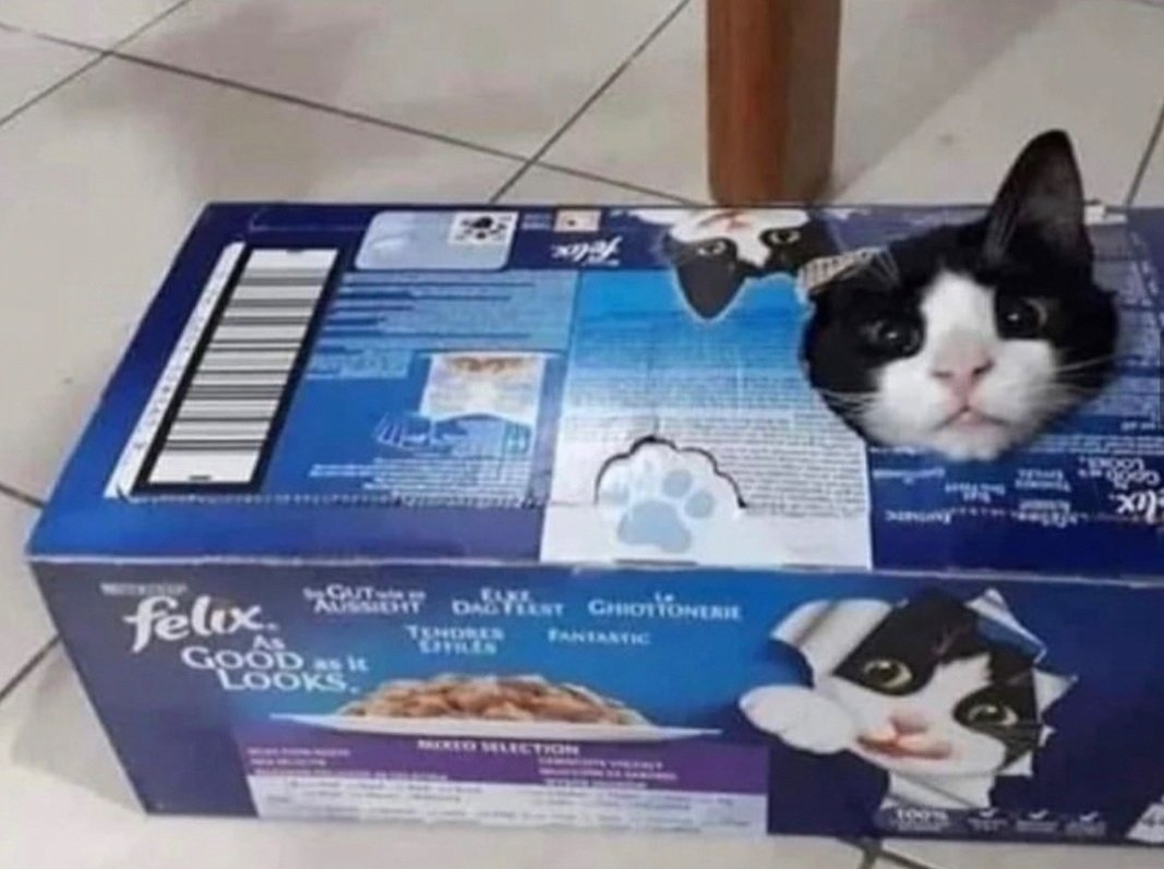 DontShowYourCat's tweet photo. honest advertising https://t.co/yaI6sDxJ6p
