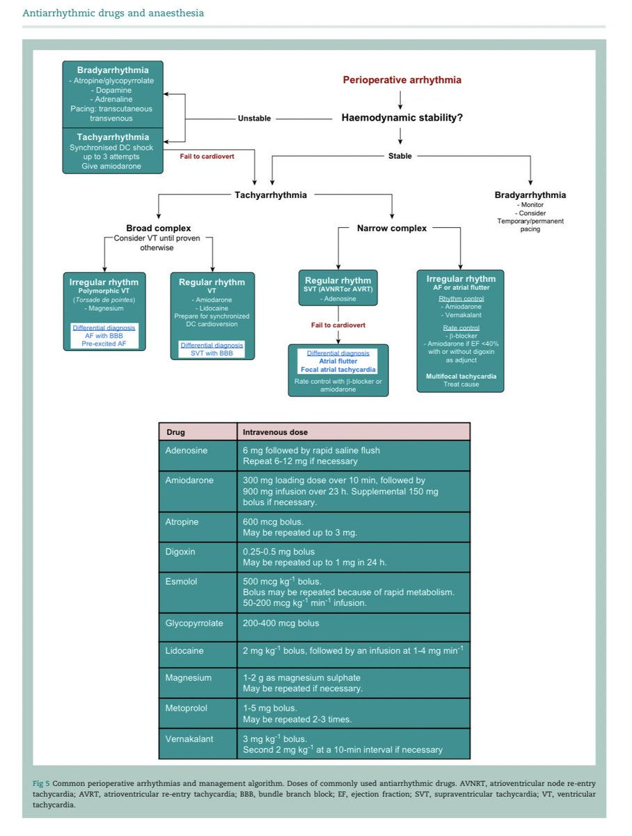 “Antiarrhythmic drugs and anaesthesia. Part 2: pharmacotherapy.” #anti_arrhythmic_agents #arrhythmias #cardiac #cardiac_electrophysiology #FOAMcc #MedEd #IntensiveCare #CriticalCare #BasicScience #EMCCM @BJAJournals 📚 bjaed.org/article/S2058-…