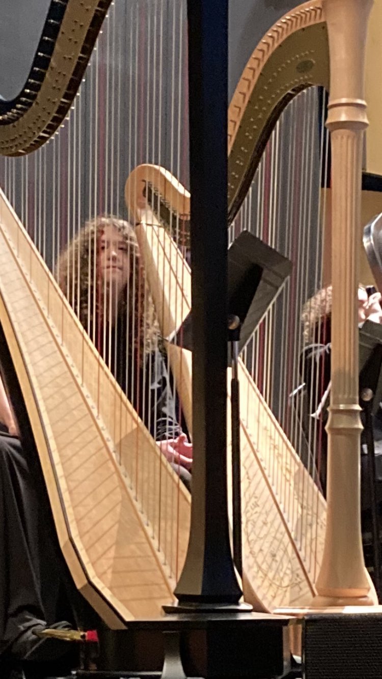 Fancy harp deals